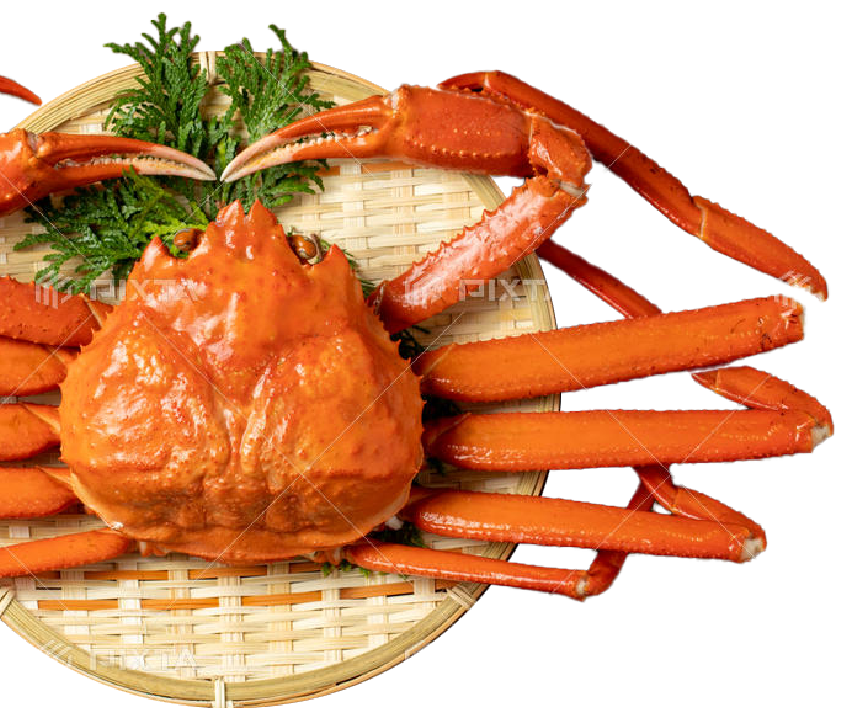 日本海産ベニズワイガニ